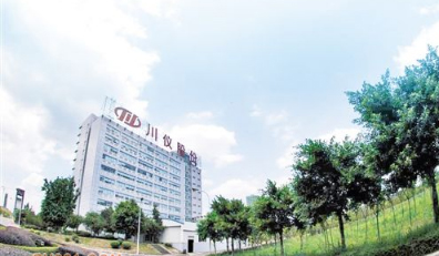 川儀股份2018年凈利潤(rùn)3.89億元 同比增長(zhǎng)145% 川儀股份2018年凈利潤(rùn)3.89億元 同比增長(zhǎng)145%