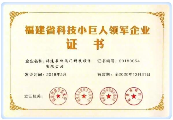 福建省科技小巨人領(lǐng)軍企業(yè) 福建省科技小巨人領(lǐng)軍企業(yè)